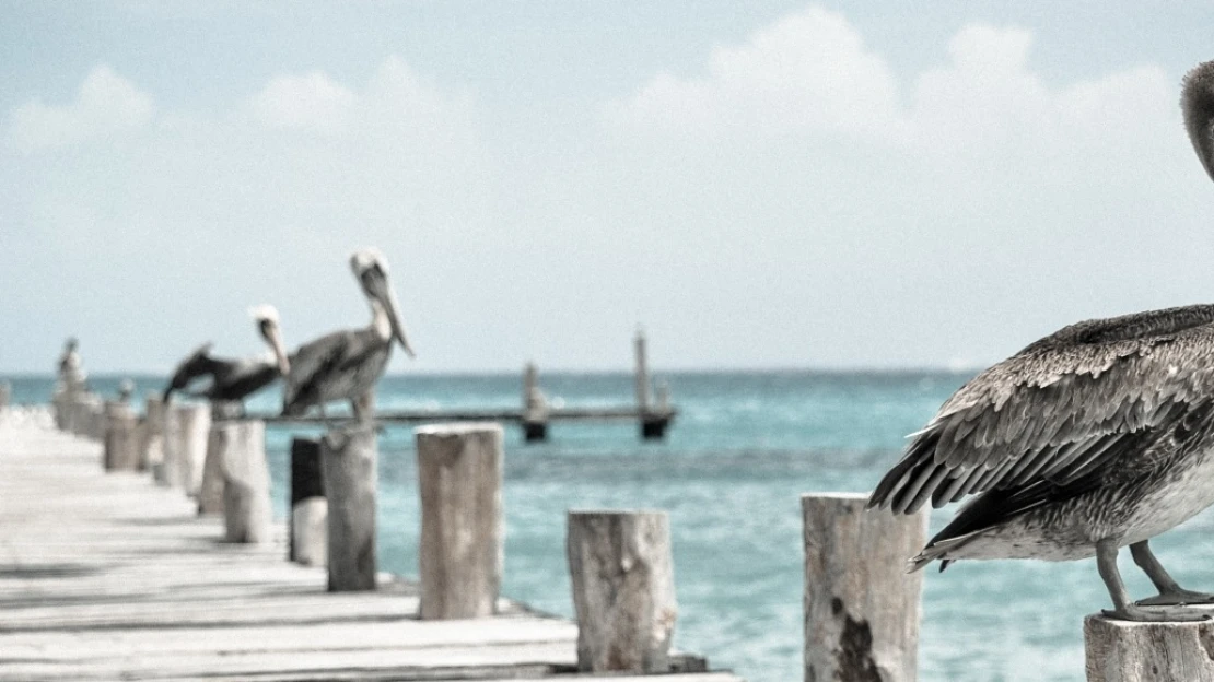 5 kroků, jak proměnit svůj nápad ve skutečný byznys