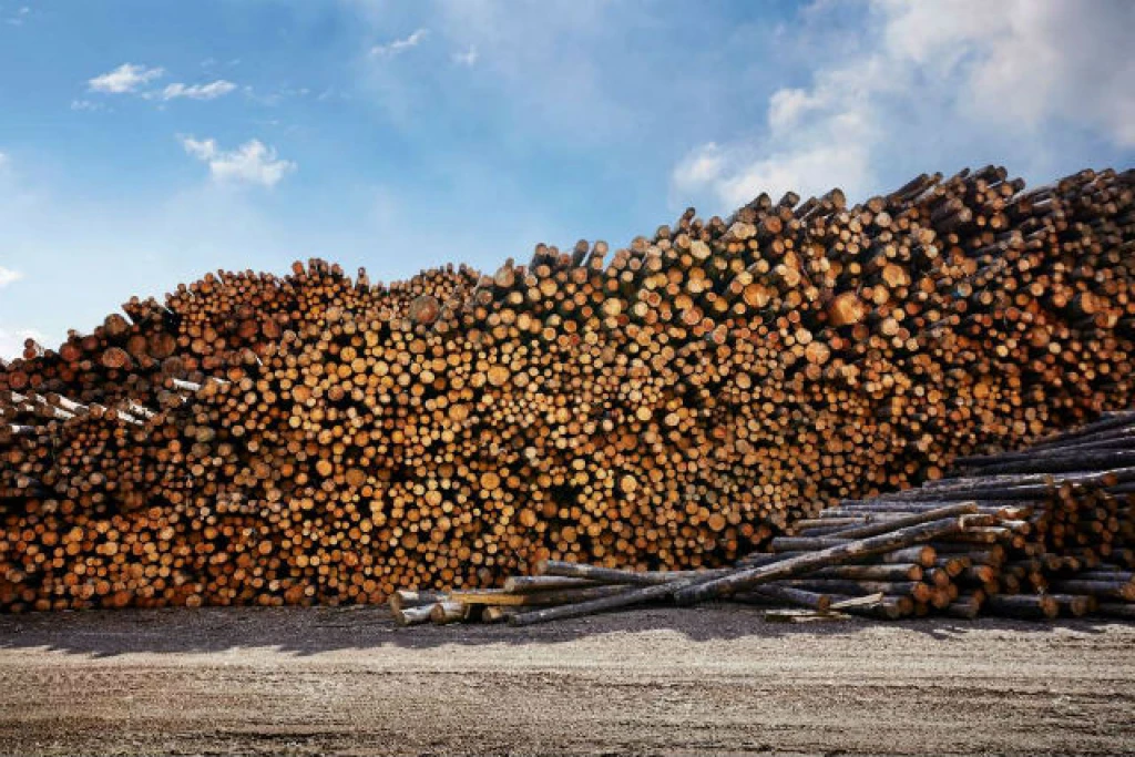 Evropané ve velkém topí dřevem. Kolem zásob staví nové ploty
