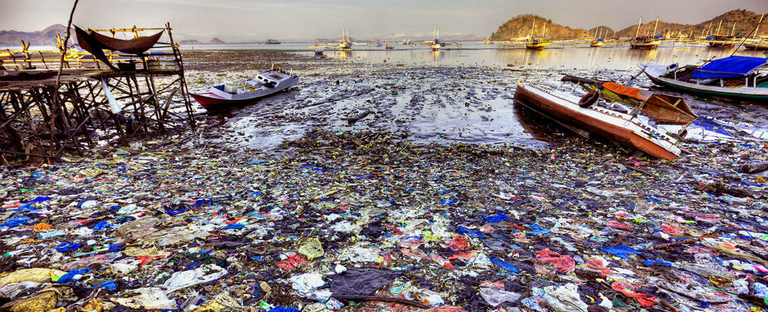 V roce 2050 bude v mořích více plastu než ryb, varuje nová výzkumná zpráva