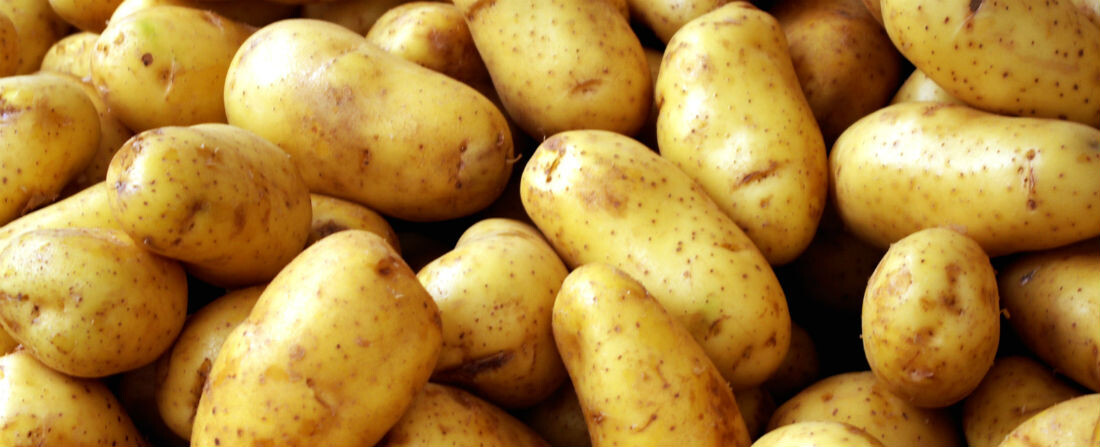 Dieta podle Marťana aneb Přežijete rok na bramborách?