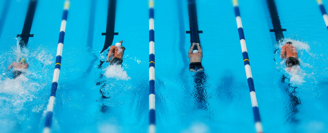 Mokrý byznys z bazénu aneb jak v Česku vychovat olympijského šampiona