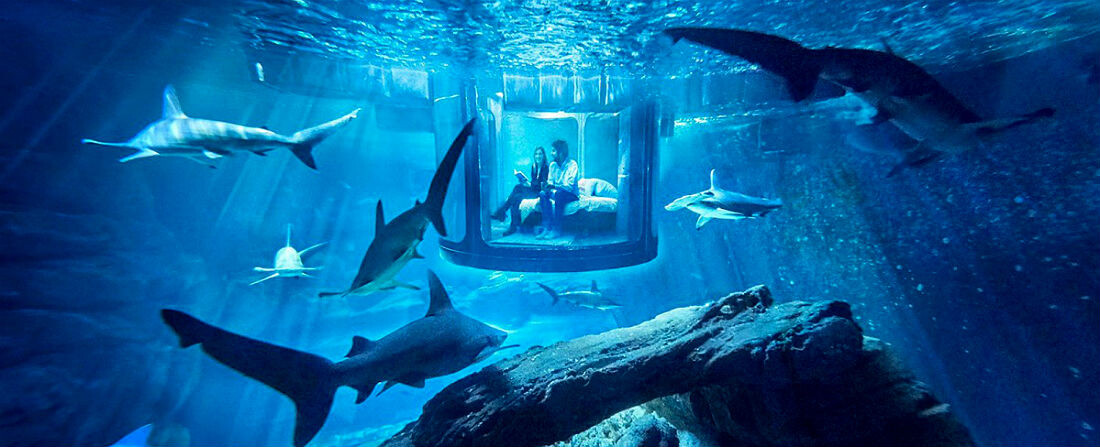 Noc mezi žraloky: Airbnb ponořila apartmá doprostřed obřího akvária