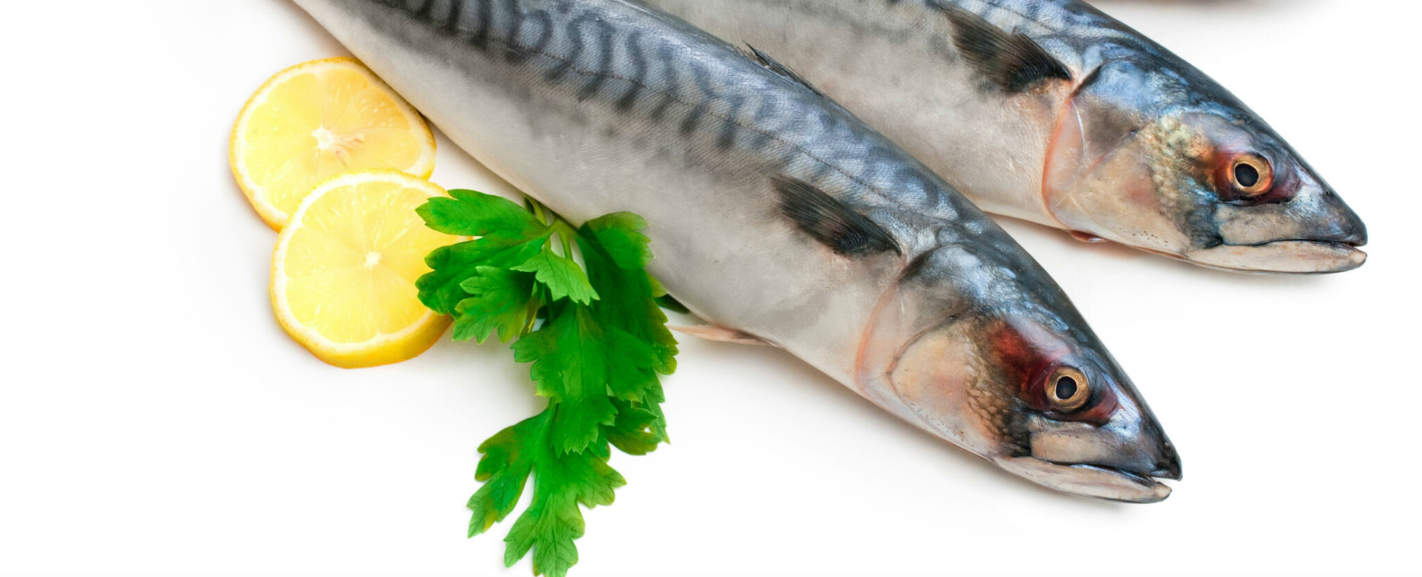 Ryba, citron, petržel… Jak se moderně píšou jídelní lístky