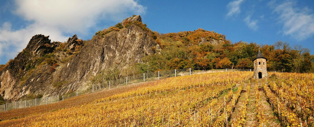 Tipy na hezký podzim: Kam v Čechách za vínem a pro stylové dárky dětem