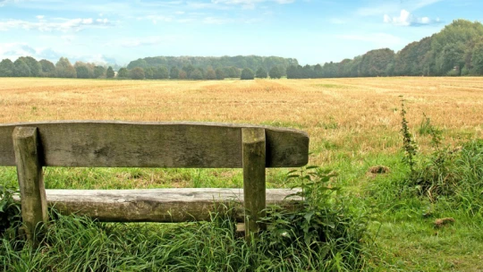 Jak se uvolnit? 4 základní rady od jogína, díky kterým si vyčistíte hlavu