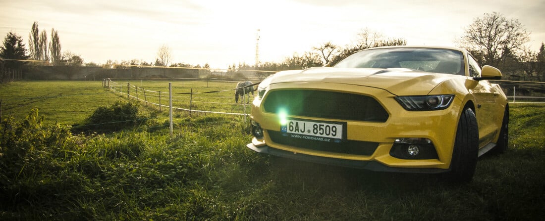10 vychytávek Fordu Mustang, které splaší i vaše koně