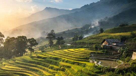 Vydělávat na Bali. Jak si tam podnikavá dívka za rok přišla na stovky tisíc dolarů