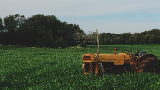 Odešli z&nbsp;města a&nbsp;začali farmařit. Proč byste to měli udělat taky?