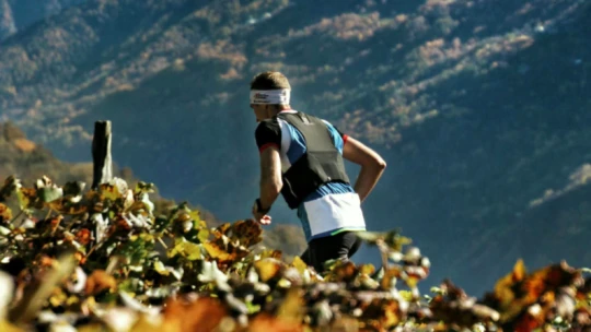 Prosecco, croissanty, ústřice a&nbsp;42 km. Zaběhněte si vinařský maraton