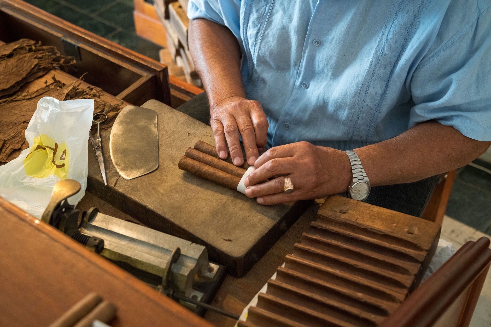 Poptávka po kubánském tabáku roste. Doutníky Habanos hlásí rekordní tržby