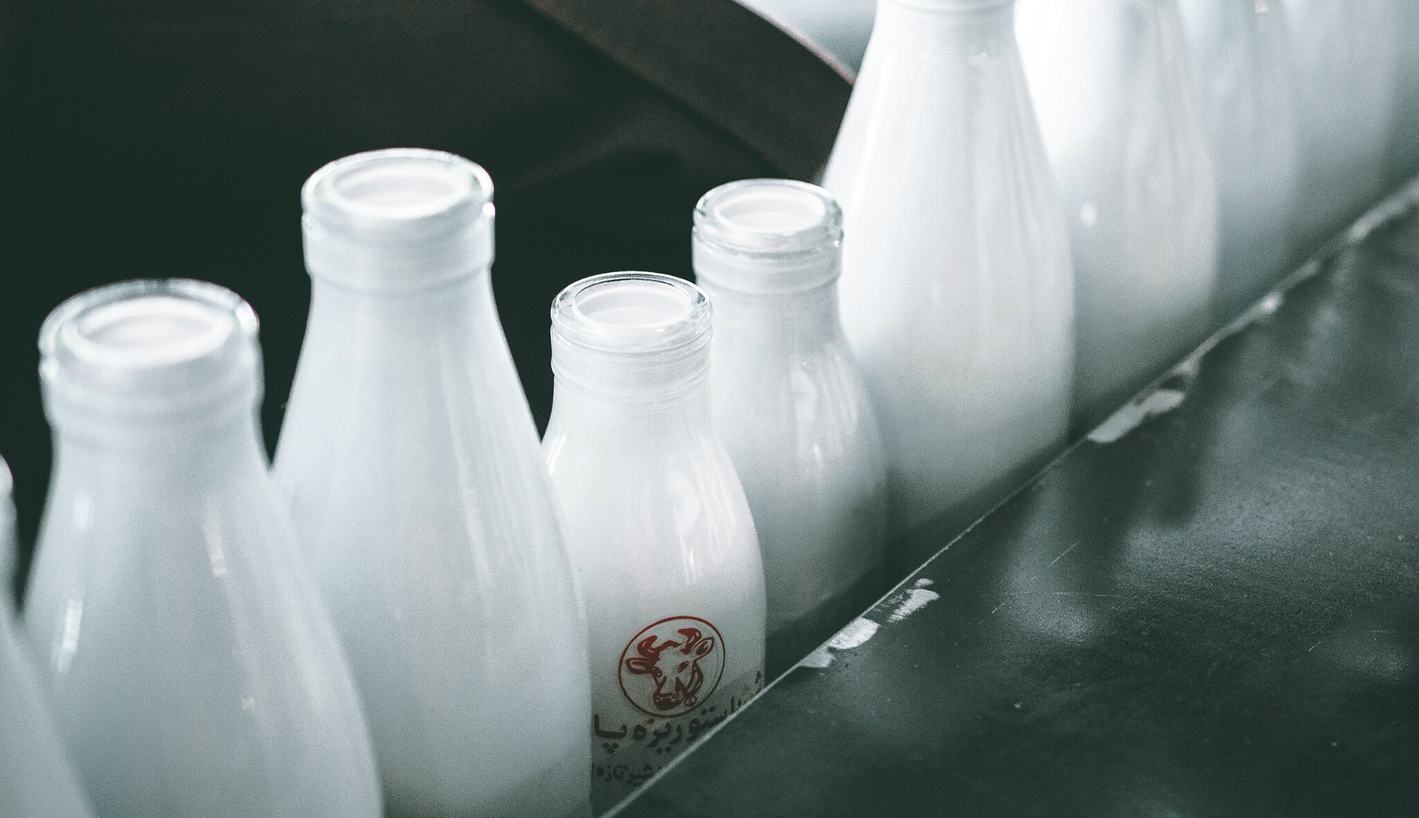 Blíží se konec živočišného mléka? Rostlinné je stále zajímavější