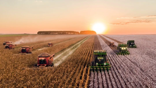 Zemědělství v&nbsp;éře robofarmářů. Bude nám AI trhat i&nbsp;jahody?