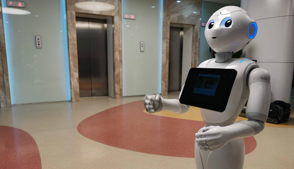 České firmy si oblíbily humanoidní roboty. Zatím jen baví lidi