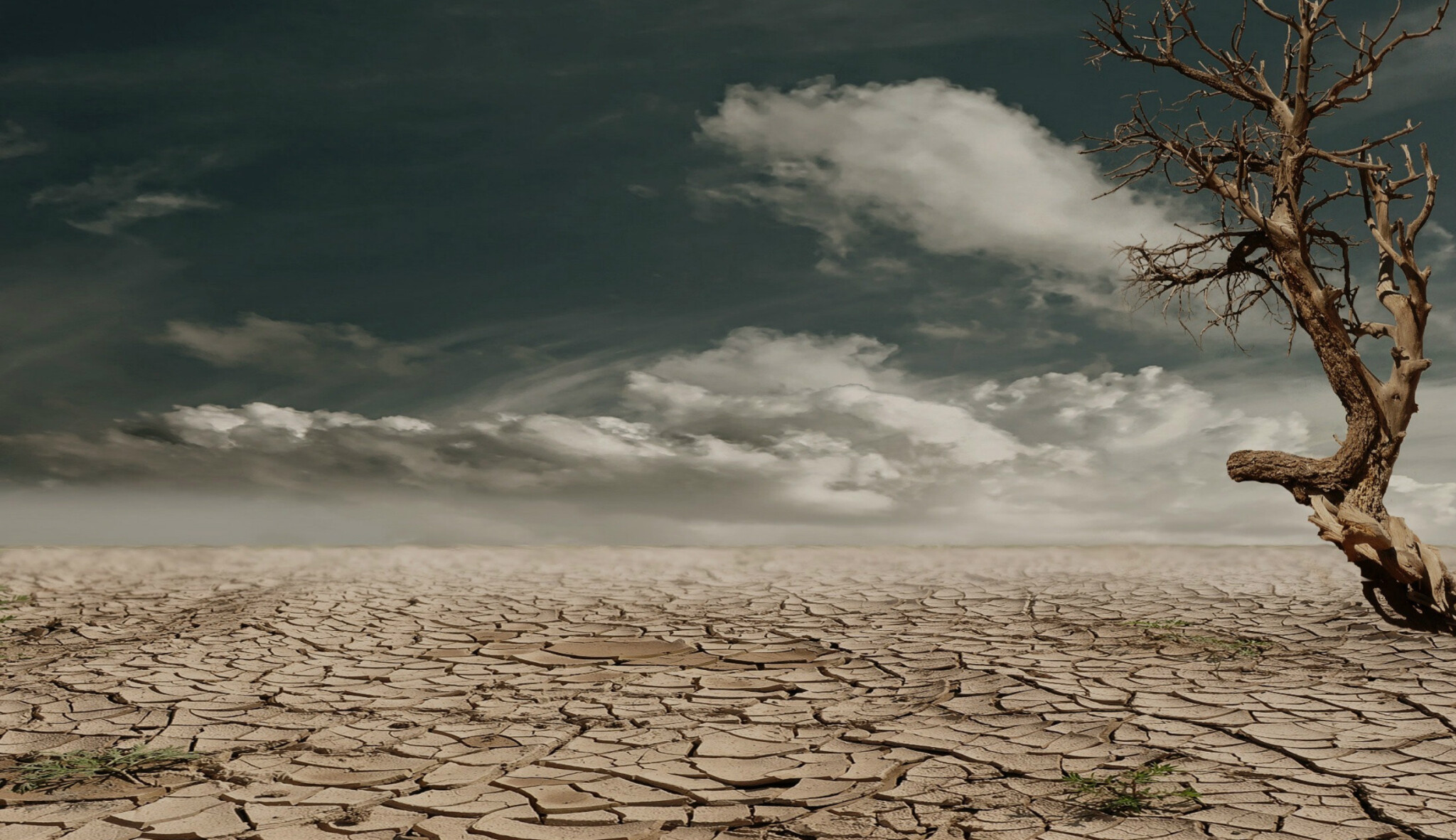 Kniha o klimatické krizi varuje před suchem, válkami  a ekonomickou stagnací