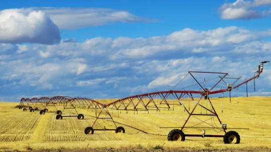 Agrokalypsa přichází. Honba za výnosy ohrožuje krajinu i&nbsp;lidi