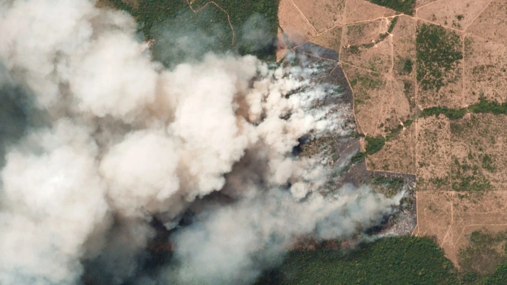 Proč se požáry v&nbsp;amazonském pralese dotýkají i&nbsp;vás?