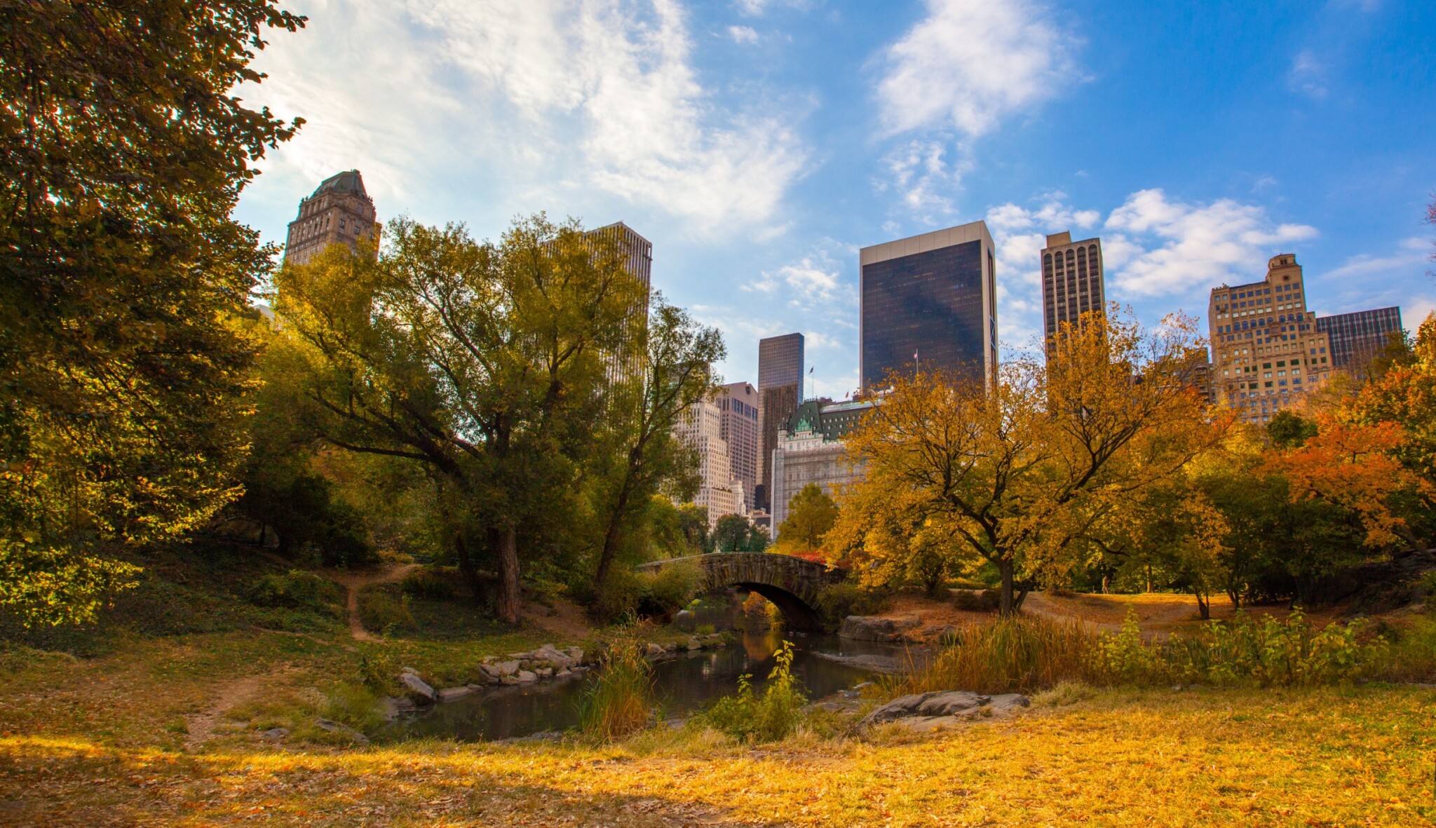 Podzim v New Yorku bude hodně barevný. Proč vyrazit právě teď