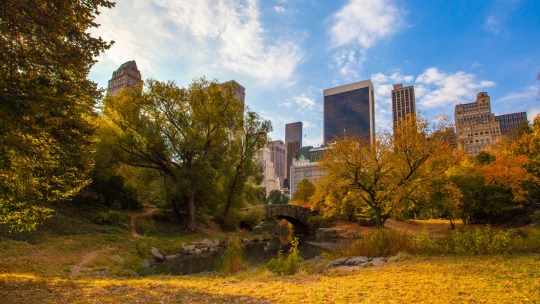 Podzim v&nbsp;New Yorku bude hodně barevný. Proč vyrazit právě teď