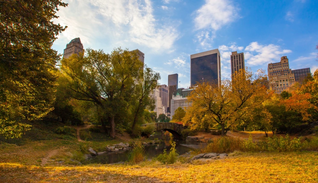 Podzim v&nbsp;New Yorku bude hodně barevný. Proč vyrazit právě teď