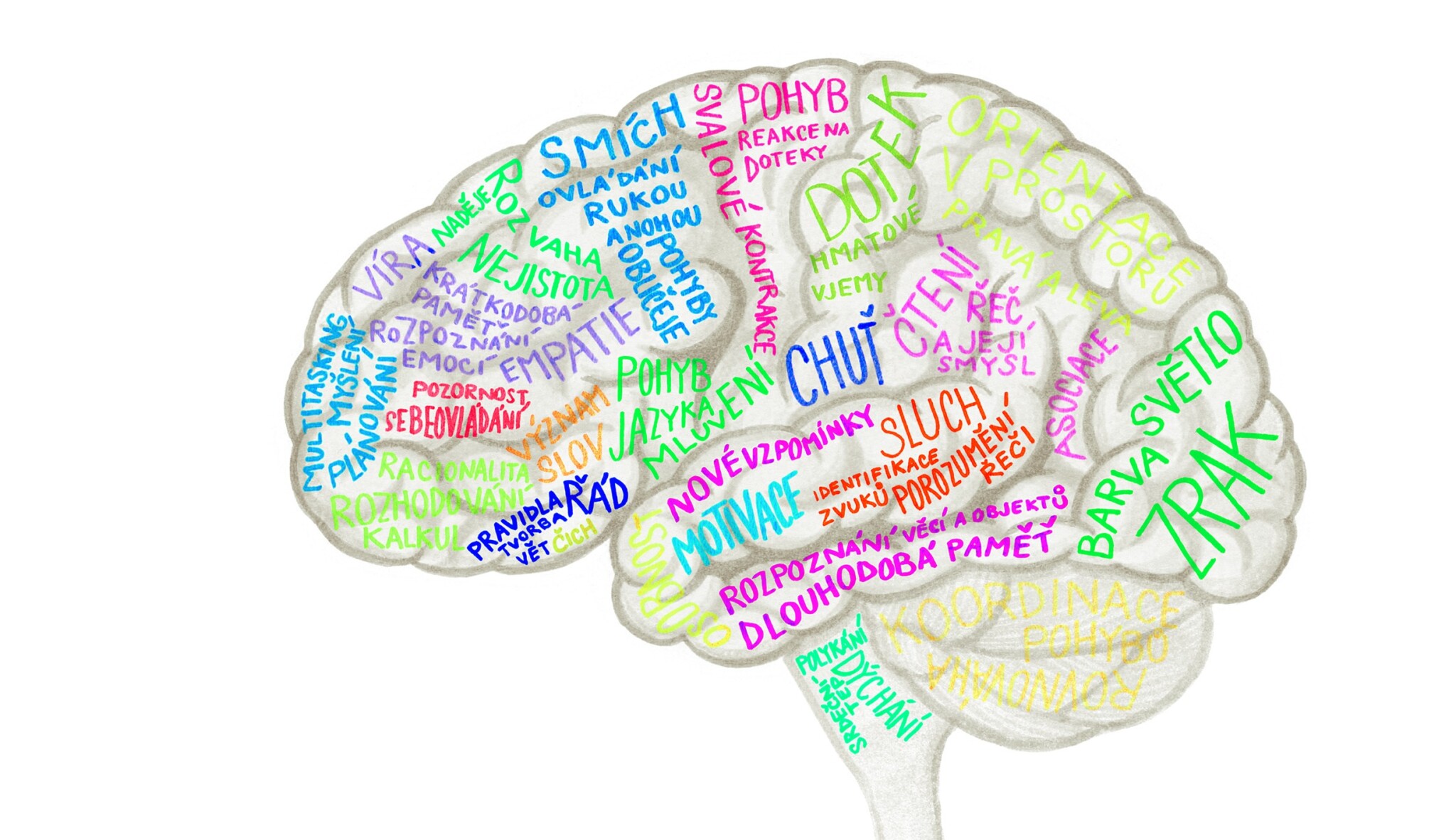 Co byste měli vědět o svém mozku? Nejzáhadnější orgán pod drobnohledem
