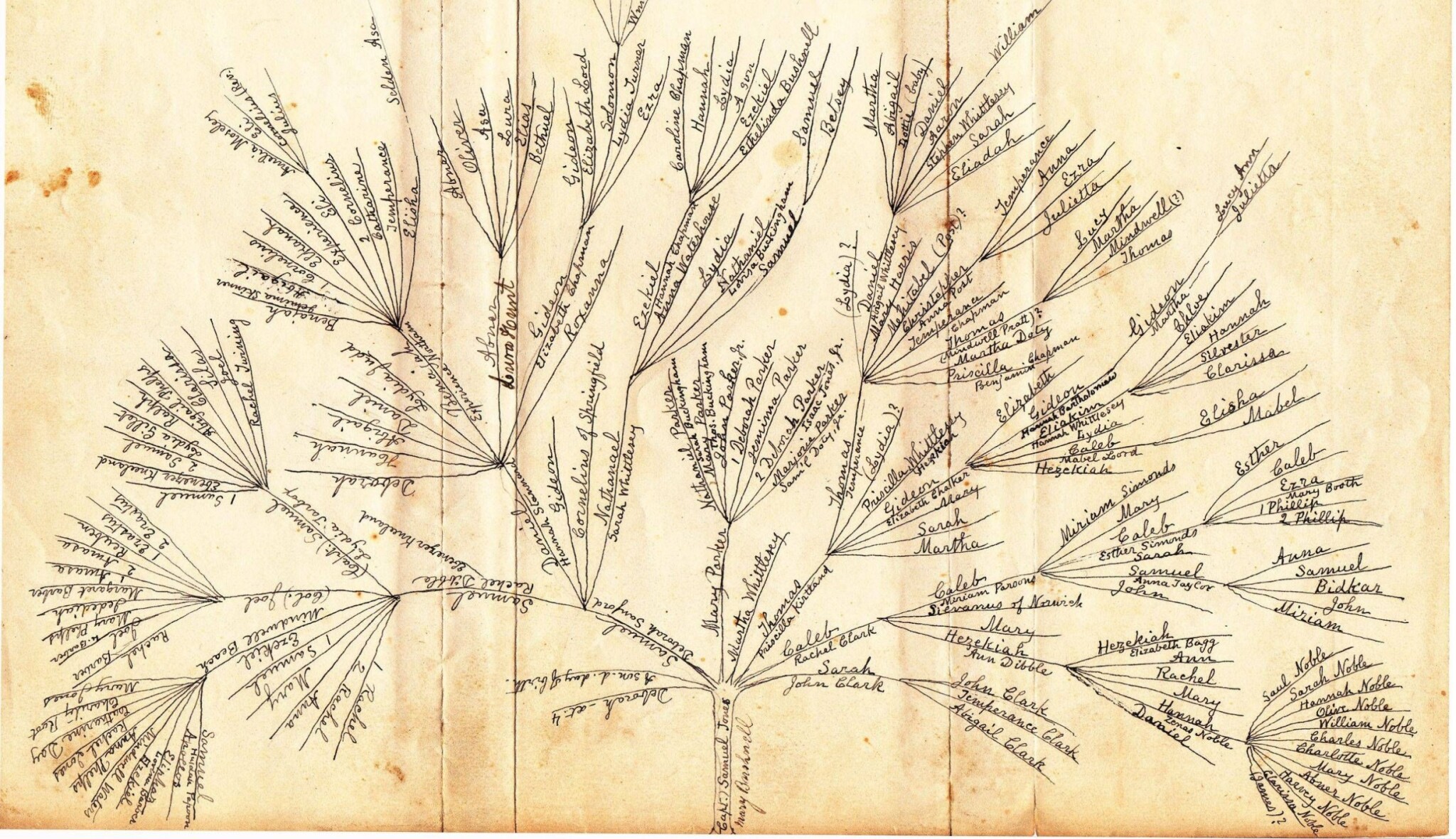Znáte kořeny své rodiny? Zkušený genealog je zvládá vypátrat až do 16. století