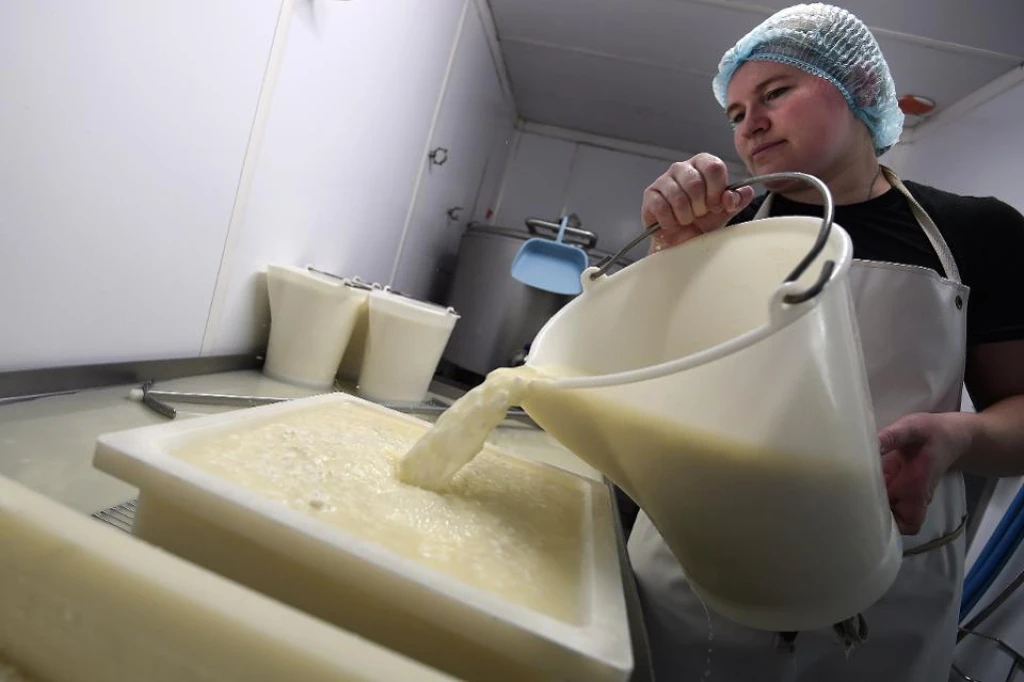Rodina během karantény omylem vymyslela nový druh sýra. Francouzi jí mohli urvat ruce