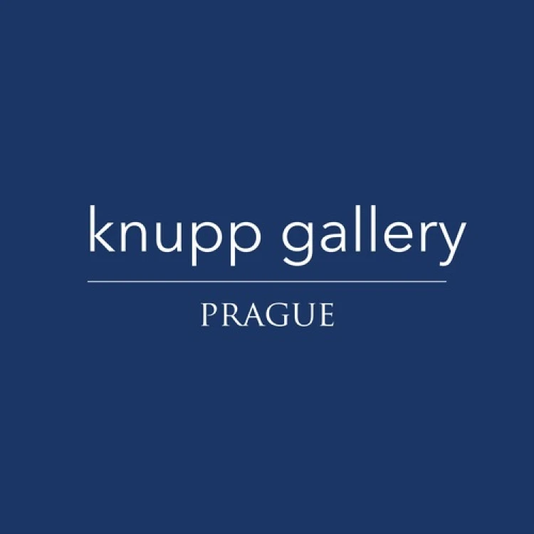 Knupp Gallery's Profile Image