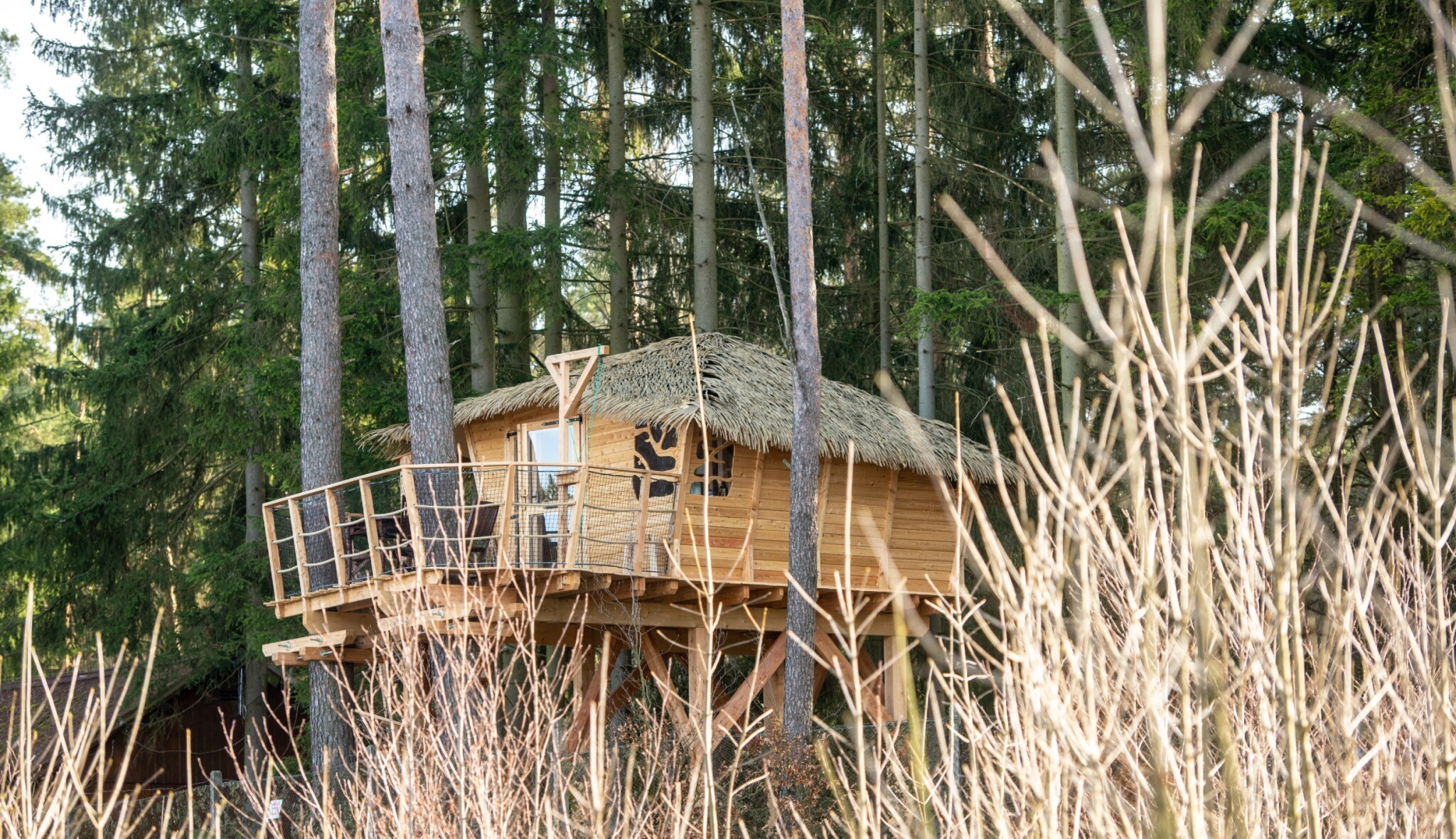Glamping s hvězdičkou. Nový treehouse pod Ještědem nabízí ubytování přírodě blíž