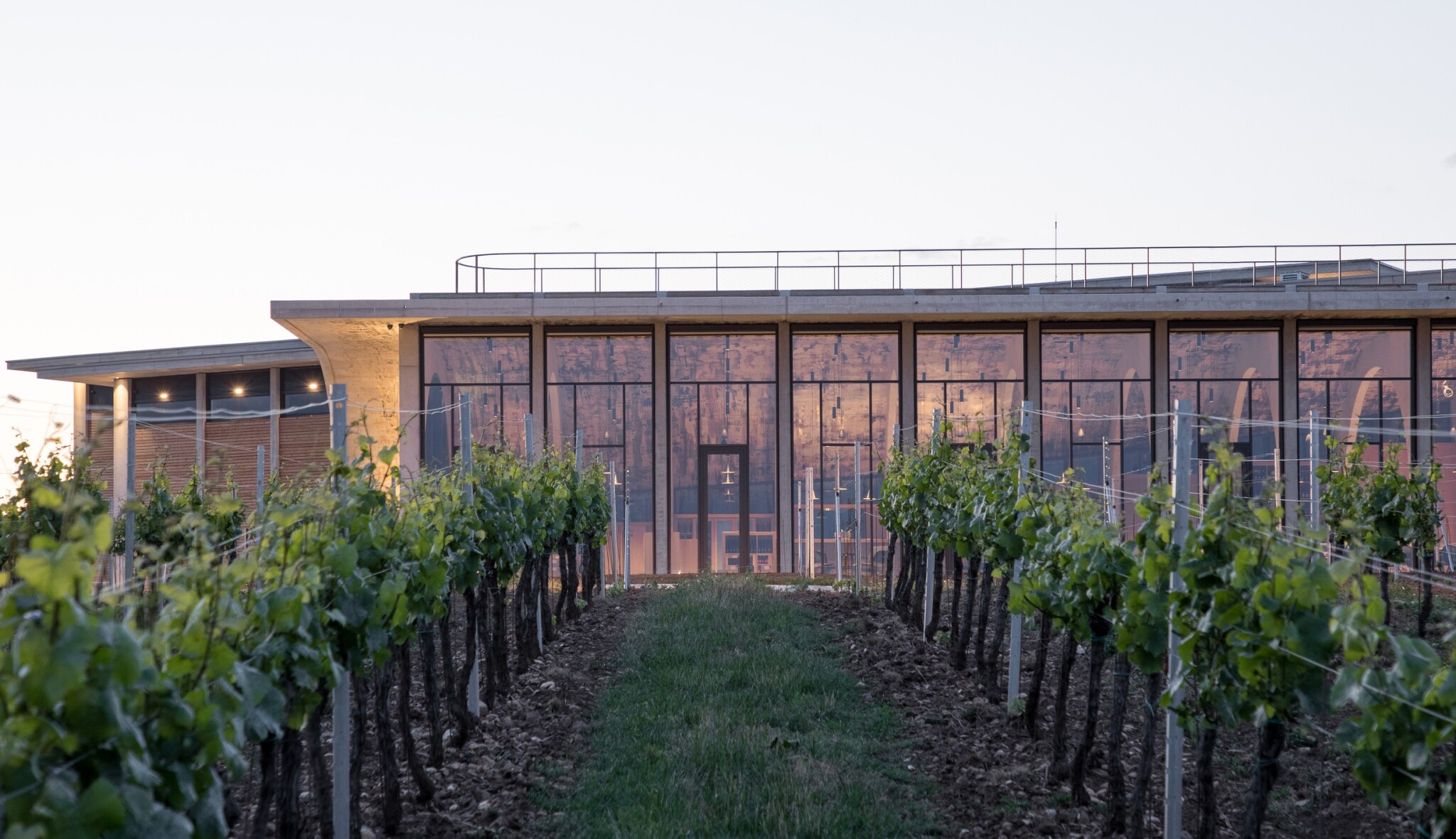 Amfiteátr mezi vinicemi. Prohlédněte si novou budovu Vinařství Lahofer od architektů Chybík + Krištof