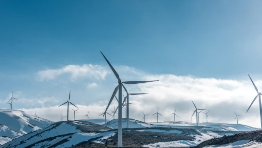 Když eko znamená i&nbsp;ekonomický. Boj s&nbsp;klimatickou krizí zajistí práci milionům