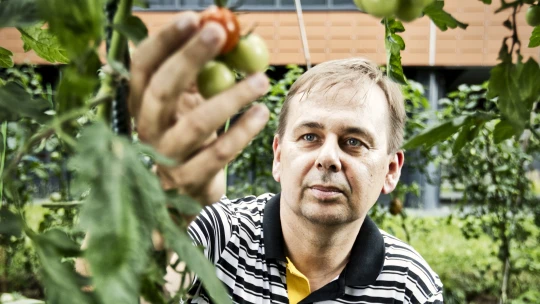 Máme návod, jak nasytit lidstvo, věří český vědec