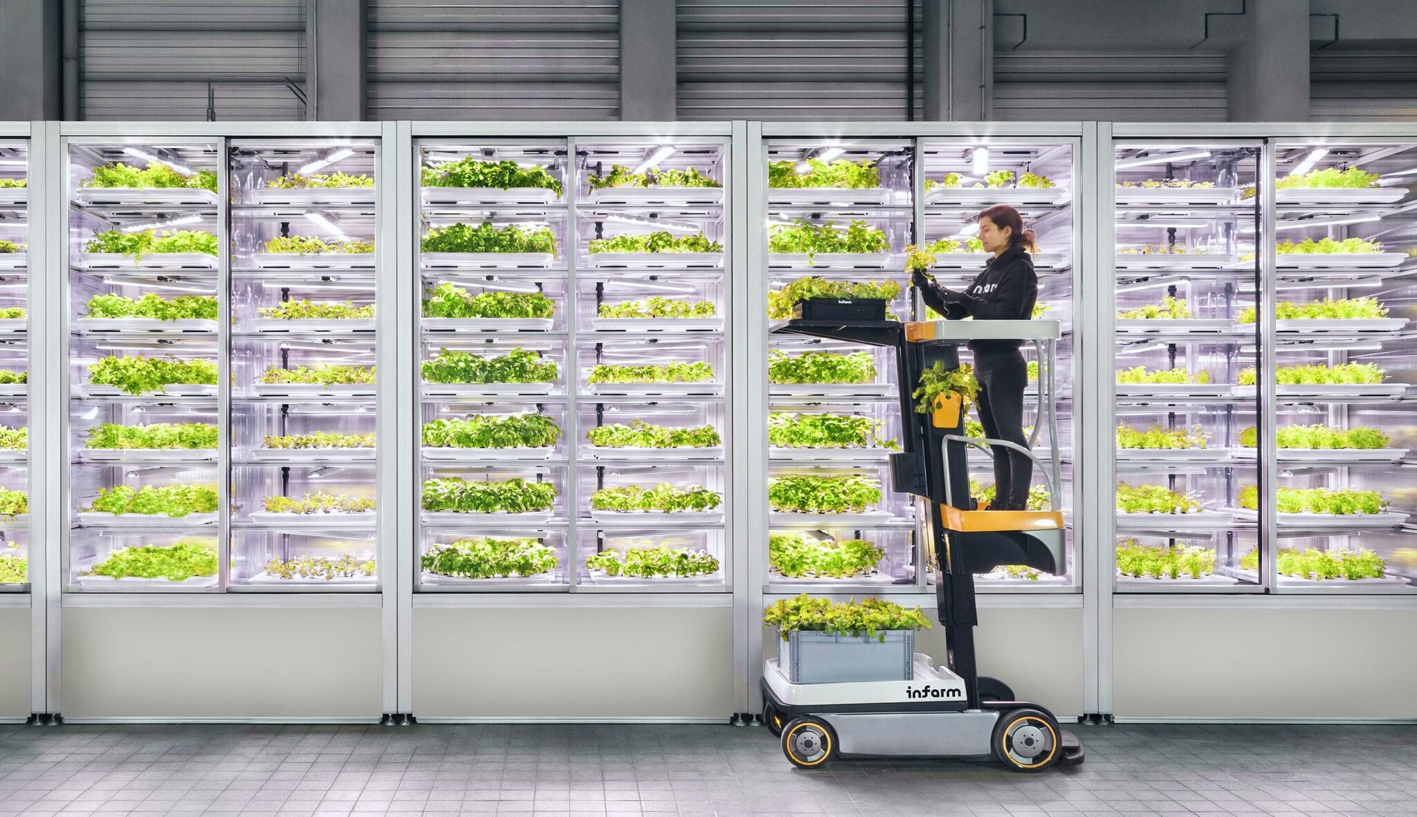 Saláty pěstované přímo v supermarketu? Seznamte se s nápadem, který vyrašil v Berlíně