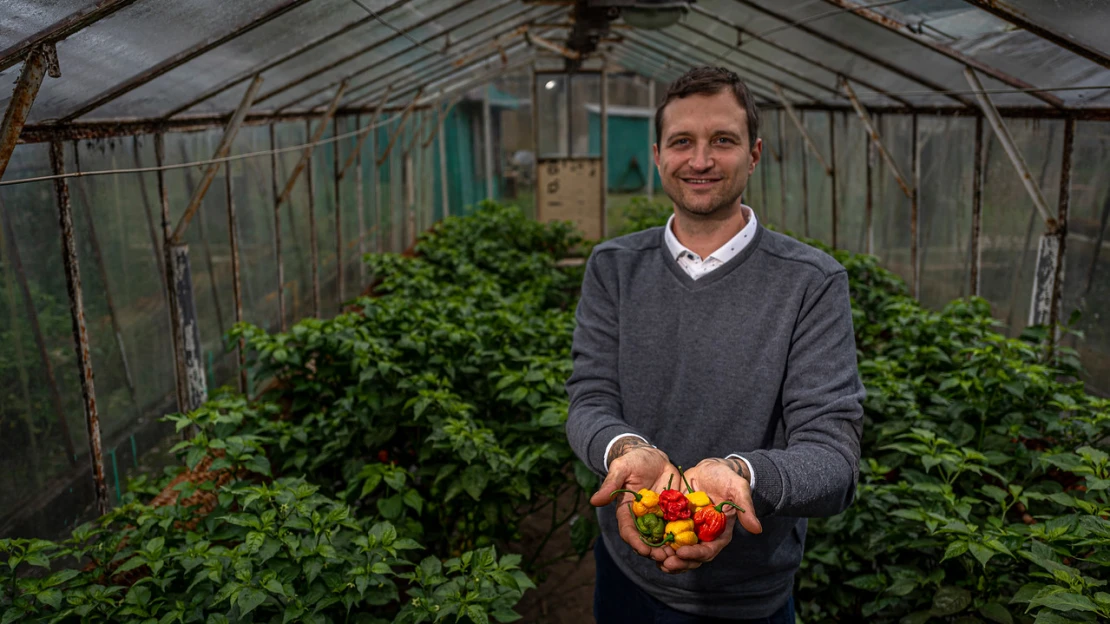 Vozit droždí ho nebavilo, bylinky mu vzala povodeň. Teď dělá nejlepší chilli na světě