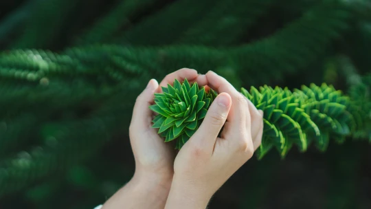 Vánoční dárky na poslední chvíli, co zlepší svět a&nbsp;vylepší karmu