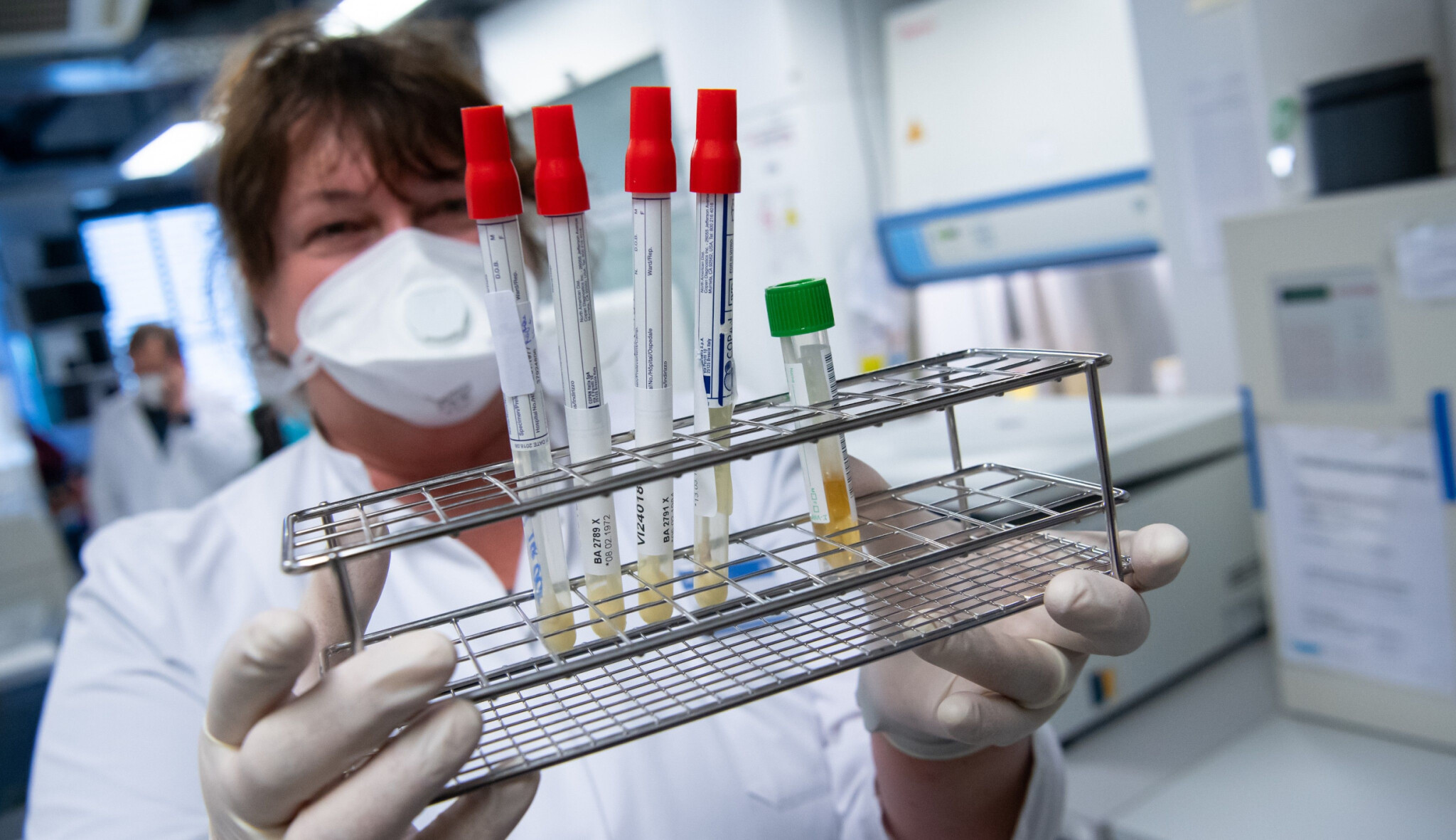 Britská, nebo jihoafrická? Mutaci viru odhalí PCR test brněnské firmy