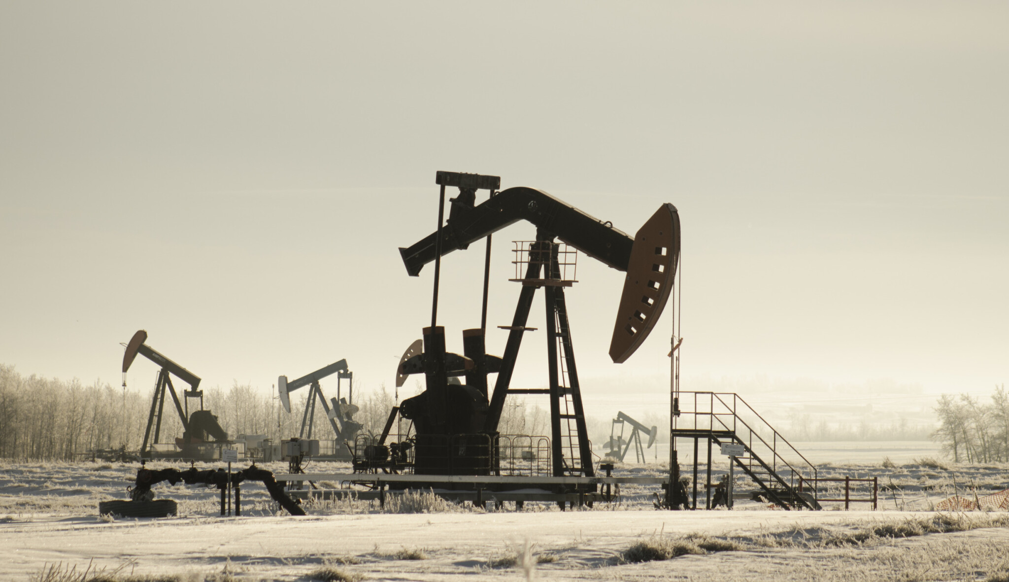 Ceny ropy vzrostly ani ne za rok o 430 procent. Jak dlouho to vydrží?