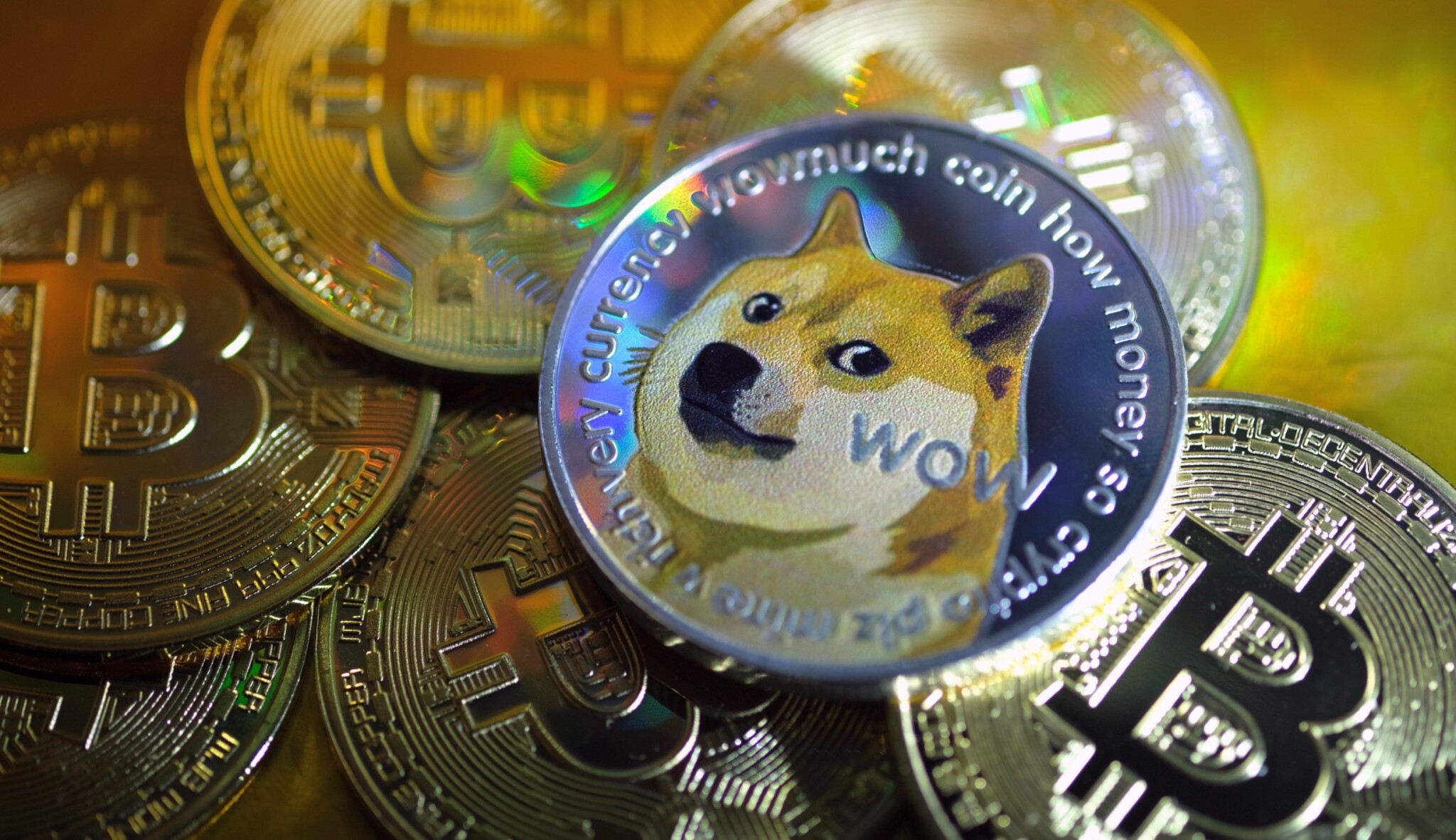 Kryptoměny následují bitcoin jako ovce. Ovšem dogecoin vyje na měsíc