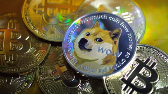 Kryptoměny následují bitcoin jako ovce. Ovšem dogecoin vyje na měsíc