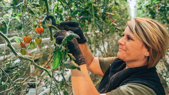 Tak trochu jiné družstvo. Farmáři spojili síly a&nbsp;vytvořili lovebrand