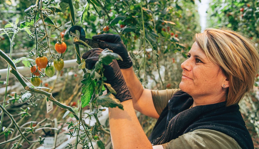 Tak trochu jiné družstvo. Farmáři spojili síly a&nbsp;vytvořili lovebrand