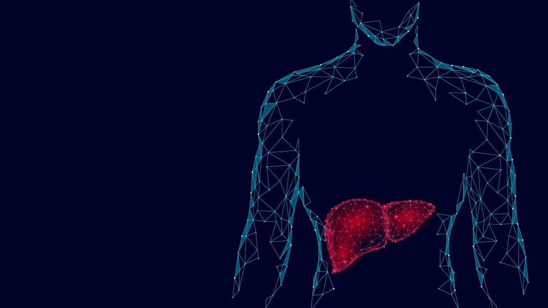 Svatý grál genového inženýrství. Startup chce léčit nemoci jater, získal na to přes miliardu