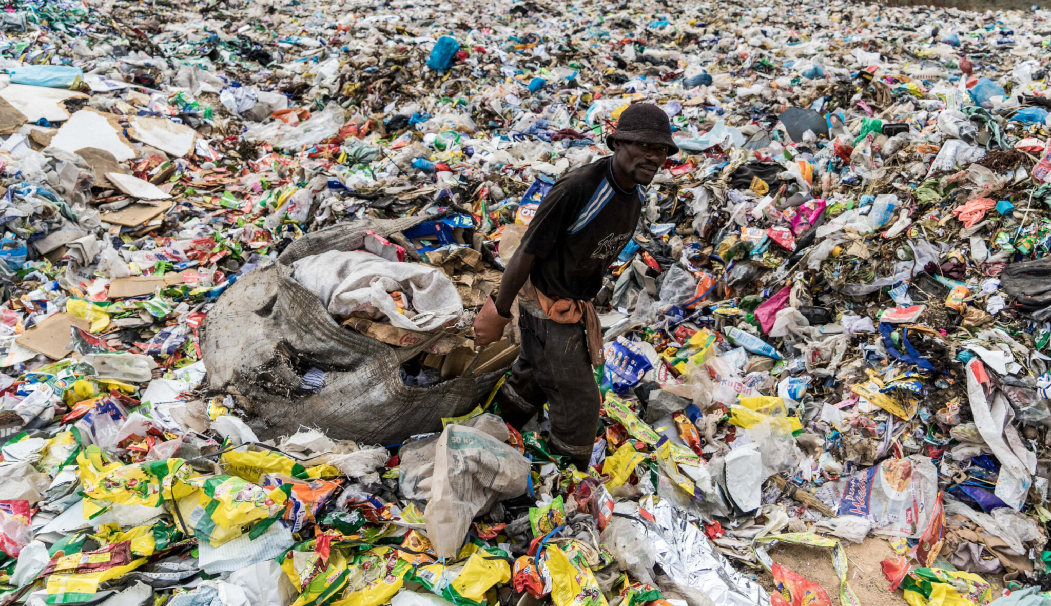 Svět je zavalený plastovým odpadem, nový objev však přináší naději. Číňané ho dokážou rozložit
