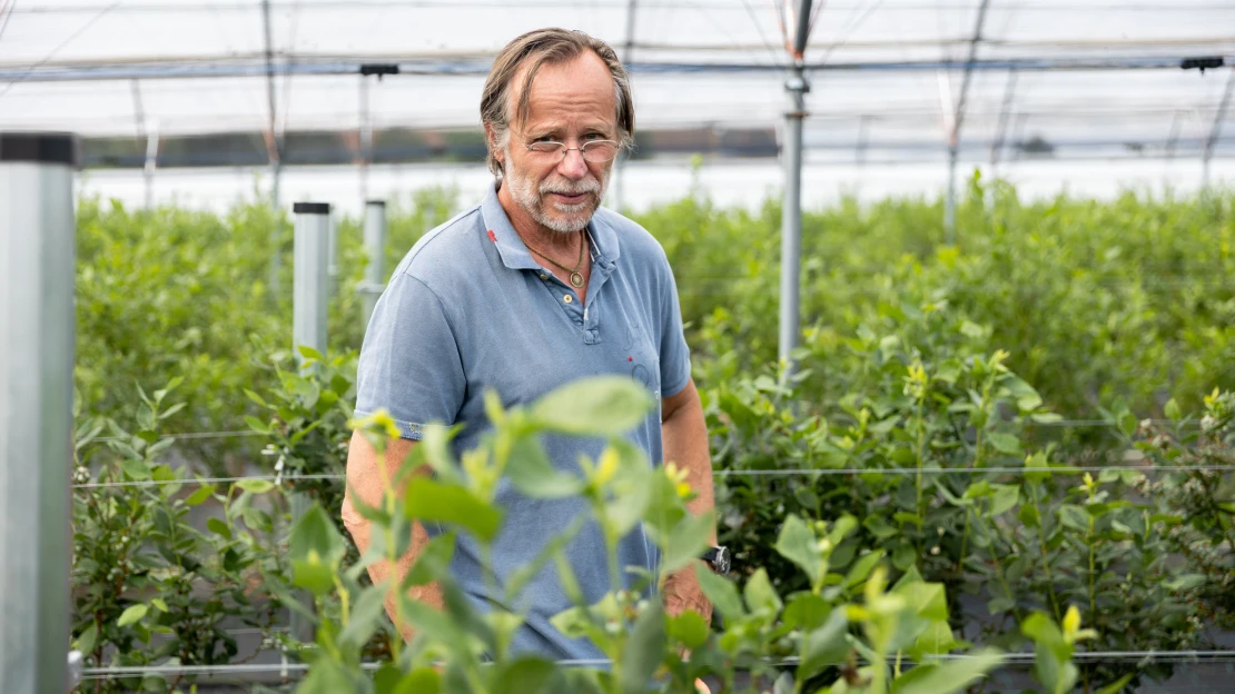 Supermarkety je zklamaly. Karel Roden i další farmáři proto zkoušejí štěstí s aplikacemi