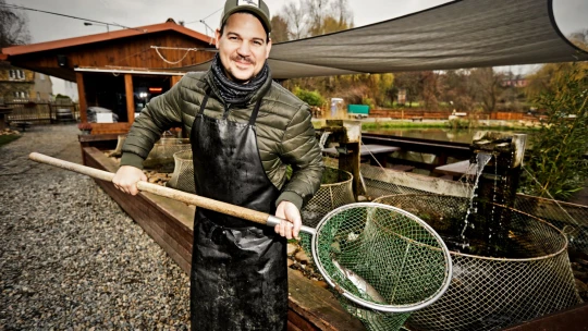 Od Kalendů berou ryby vyhlášené restaurace. U&nbsp;nás nejsou kapři namačkaní, hlásí Chabrybárna