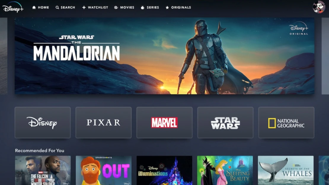 Největší konkurent Netflixu bude od léta i v Česku. Disney+ ještě vyostří boj o diváky