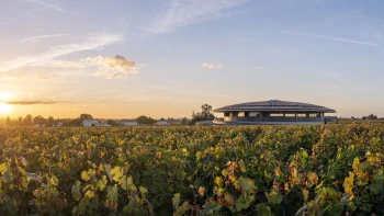 UFO na vinici. Hvězdný architekt, miliardář Tkáč a&nbsp;rebel z&nbsp;pravého břehu přepisují mapu Bordeaux