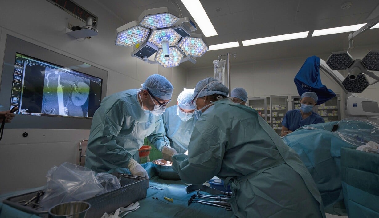 Srdcaři. IKEM hlásí rekordní počet transplantací i první převoz srdce přes hranice