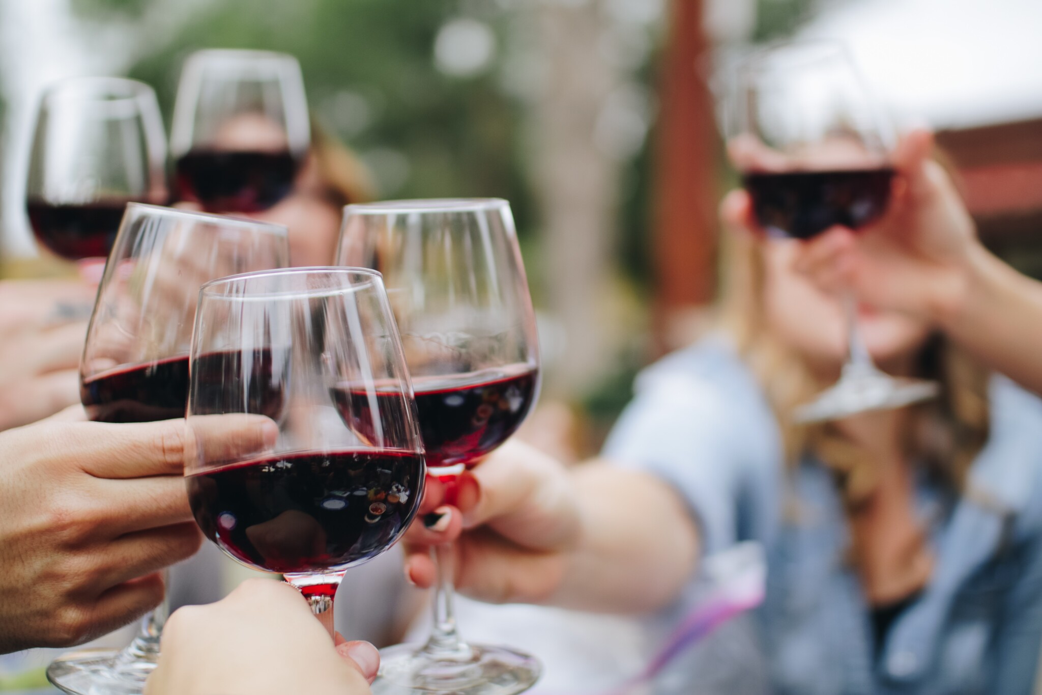 Vinařský fond vybral letošní svatomartinská vína. Na trhu jich bude rekordních 2,3 milionu kusů