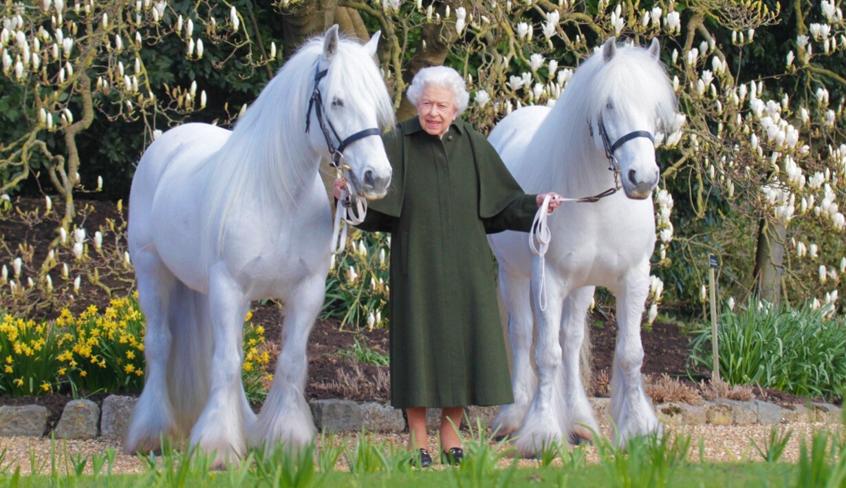 Královně Alžbětě II. je 96 let. Slaví i se svými milovanými koňmi