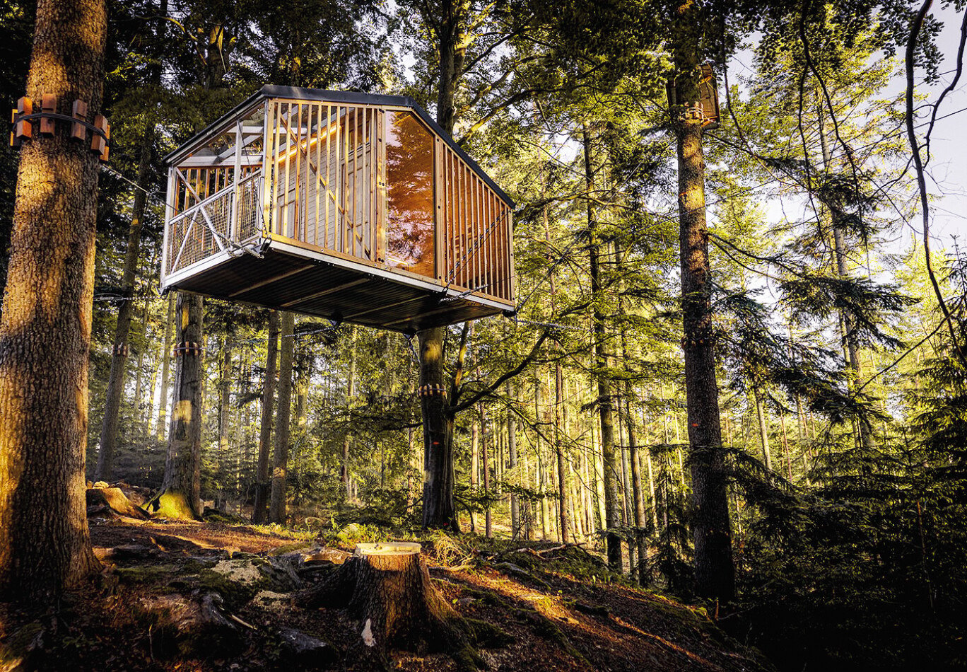 Do lesů! Nejlepší místa v Česku pro dokonalý relax v přírodě